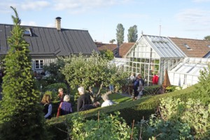 Hanssons-trädgård-överblick