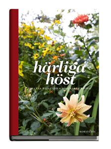 harliga-host-s-widlundh